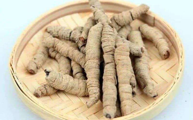 thảo dược tăng sinh lý cho nam