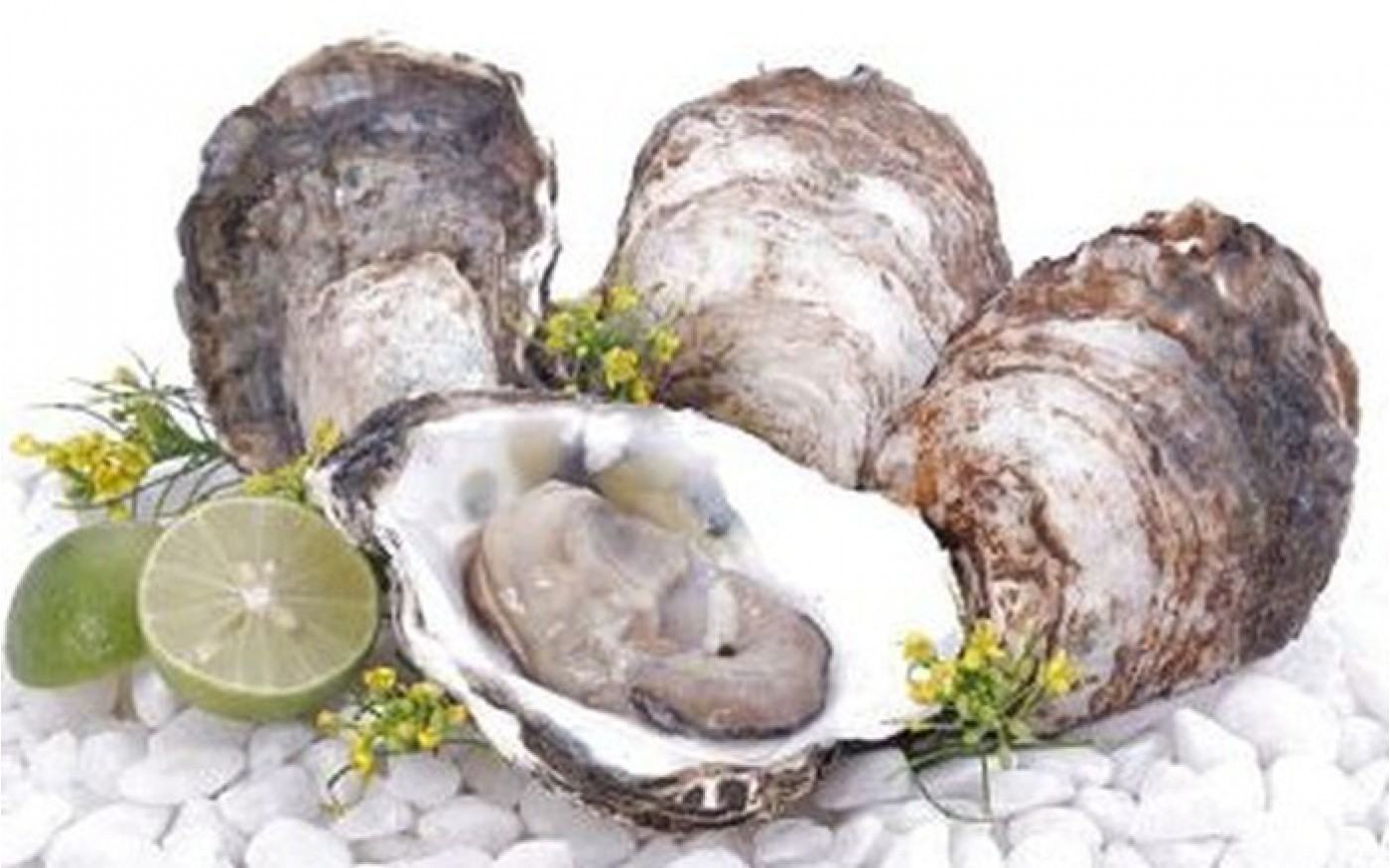 Ăn Hàu biển là cách quan hệ lâu ra kéo dài cuộc yêu