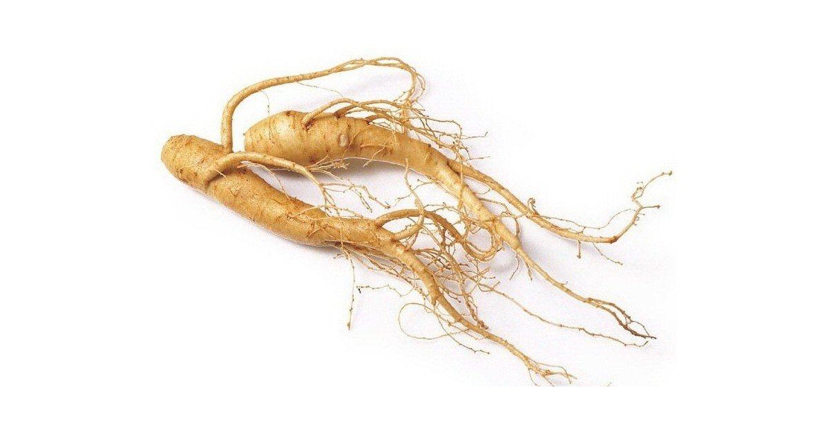 Thành phần của Max Shades