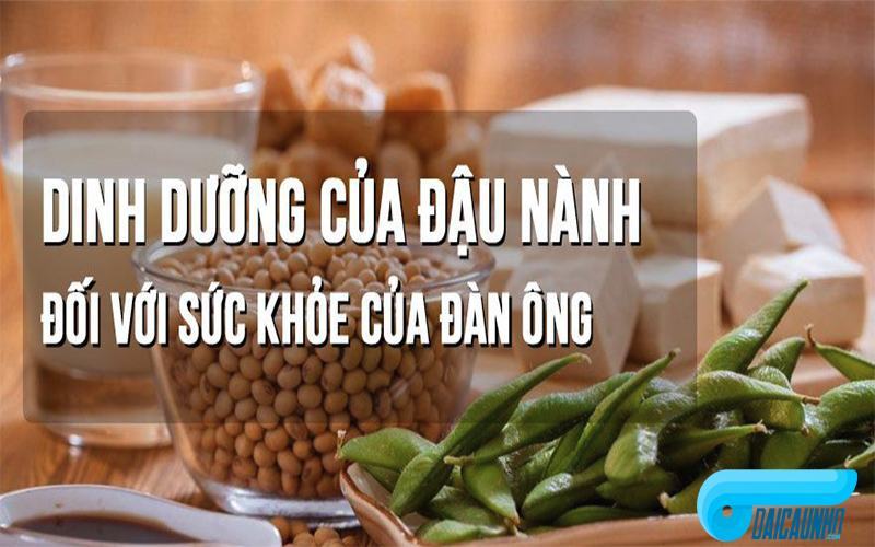 chứa rất nhiều vi chất hỗ trợ làm giảm được lượng mỡ thừa tích tụ trong máu