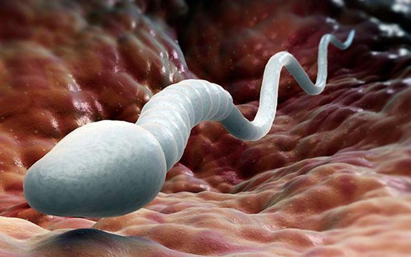 Nuốt tinh trùng có bị lây HIV không