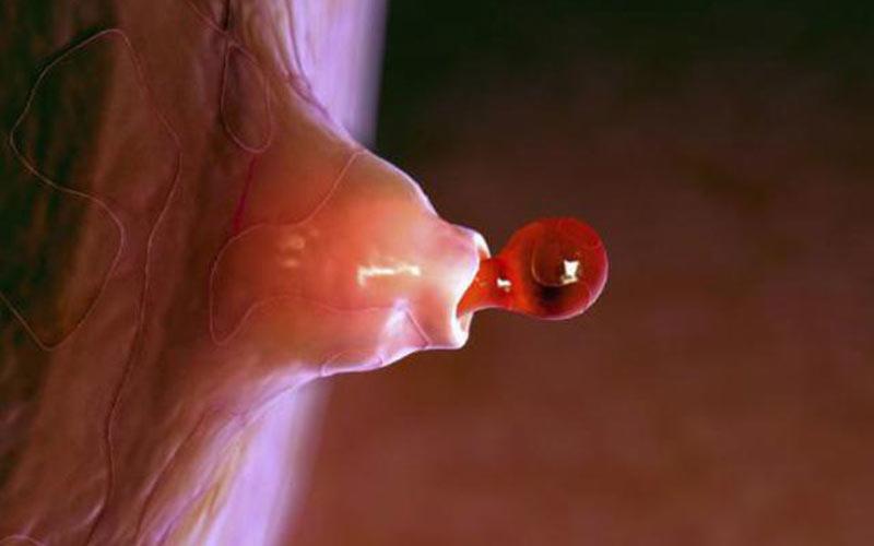 nuốt tinh trùng có bị lây HIV không