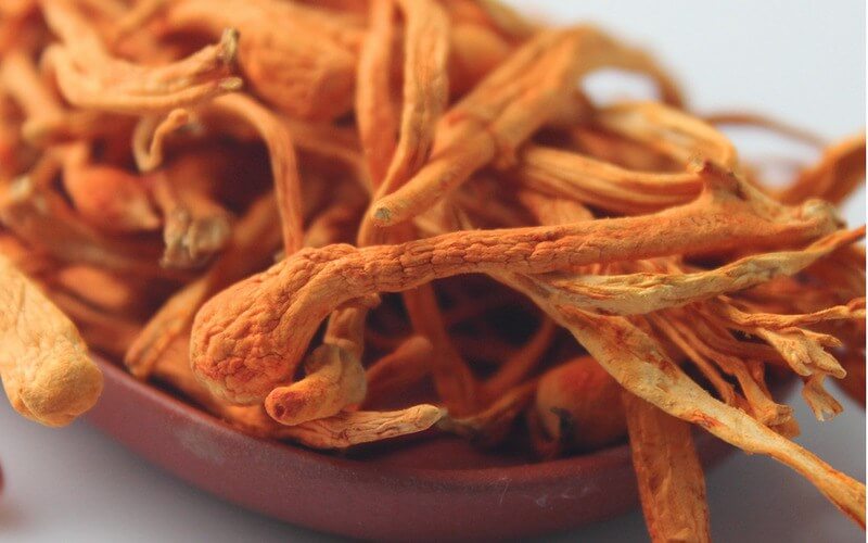 Đông trùng hạ thảo có tác dụng cho sức khỏe sinh lý nam