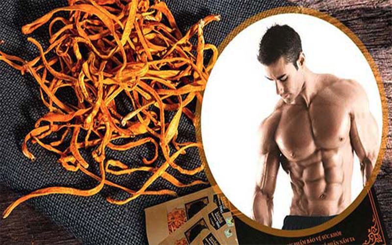 công dụng của đông trùng hạ thảo