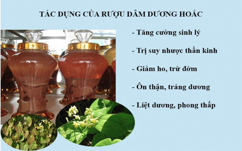 Công dụng của dâm dương hoắc
