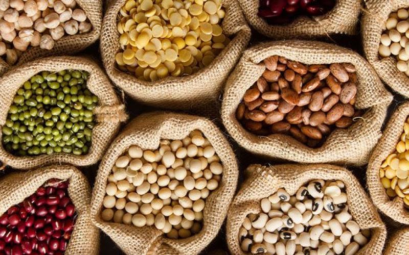 Nhiều thí nghiệm đã chứng minh rằng, trong các loại đậu thậm chí có nhiều protein hơn cả thịt bò mà bạn đang ăn