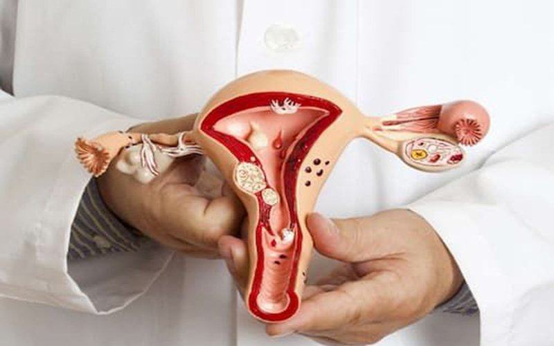 các biện pháp tránh thai