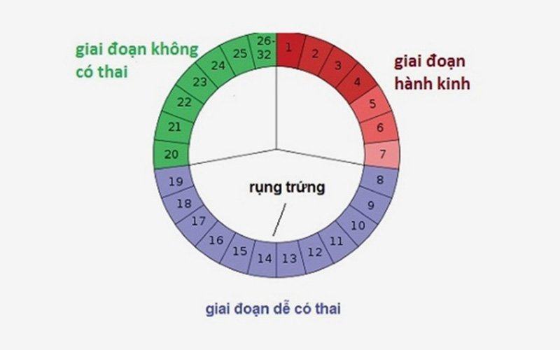 cách sử dụng que thử rụng trứng