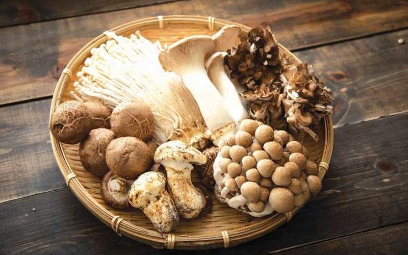 đàn ông ăn gì để sinh con trai