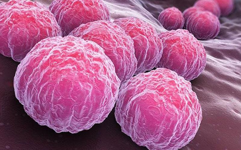 quan hệ qua đường hậu môn