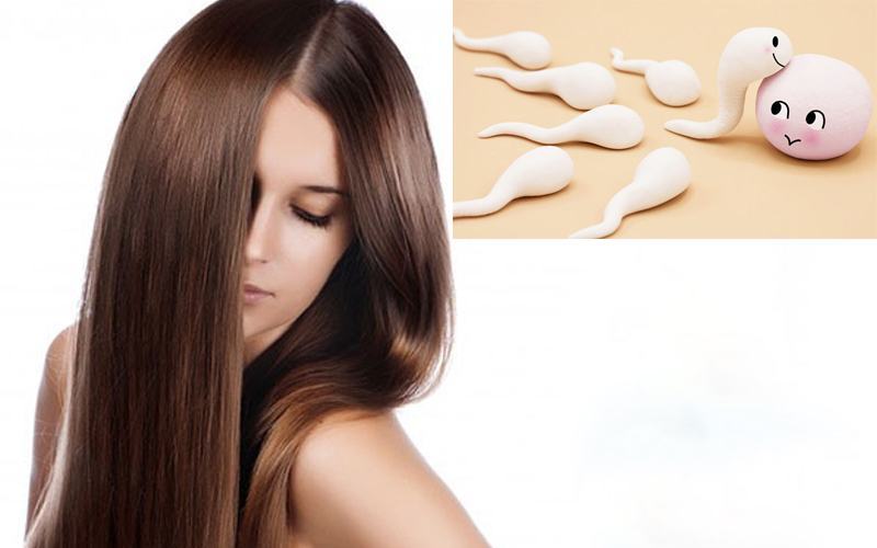Tác dụng của tinh trùng đối vỡi sắc đẹp