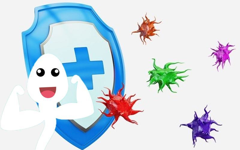 Tinh trùng giúp tăng cường hệ miễn dịch