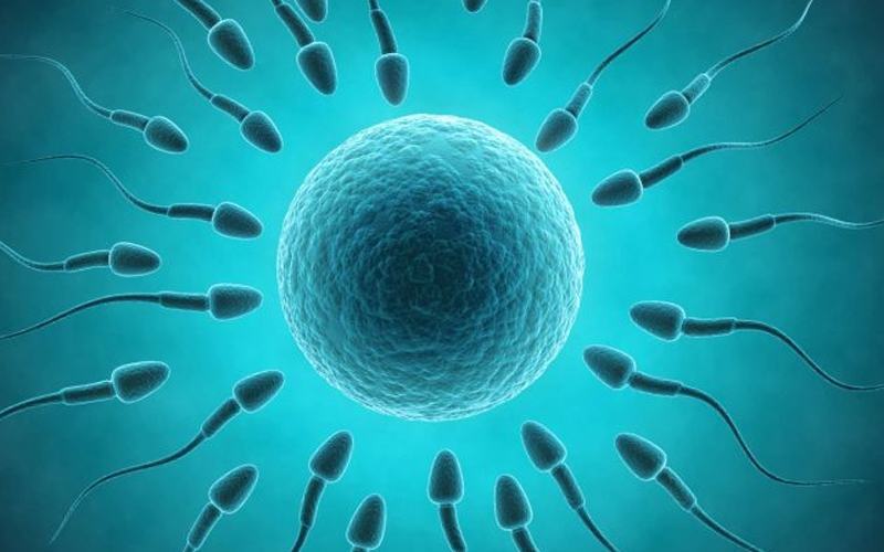 Các yếu tố để mang thai thành công