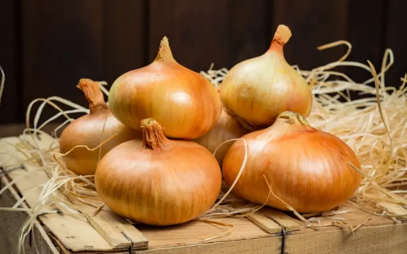 dùng hành tây là cách quan hệ lâu ra