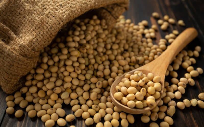 Thực phẩm tăng vòng 1