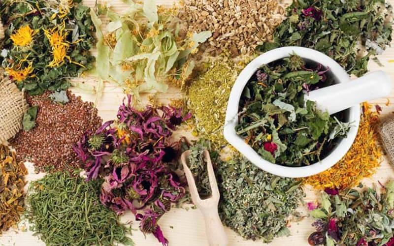 Thuốc đông y giúp tăng kích thước vòng 1