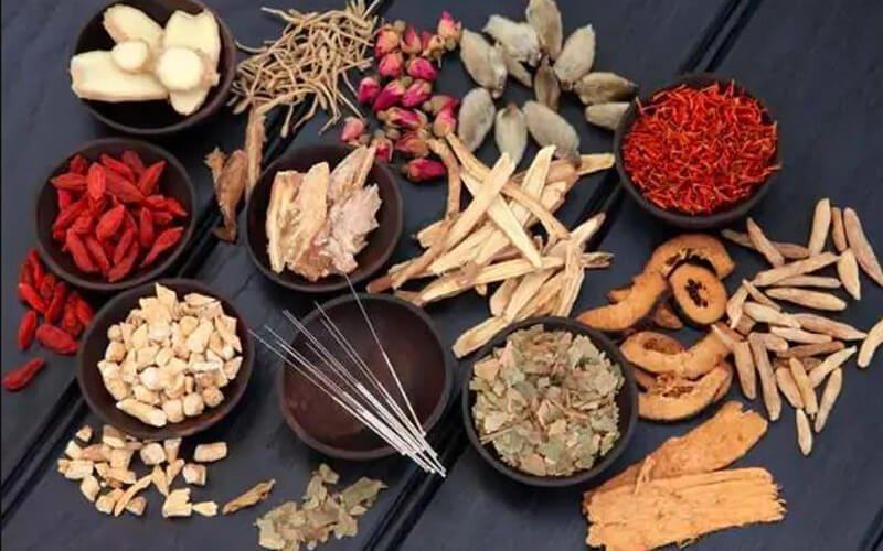 Thuốc đông y giúp tăng kích thước vòng 1