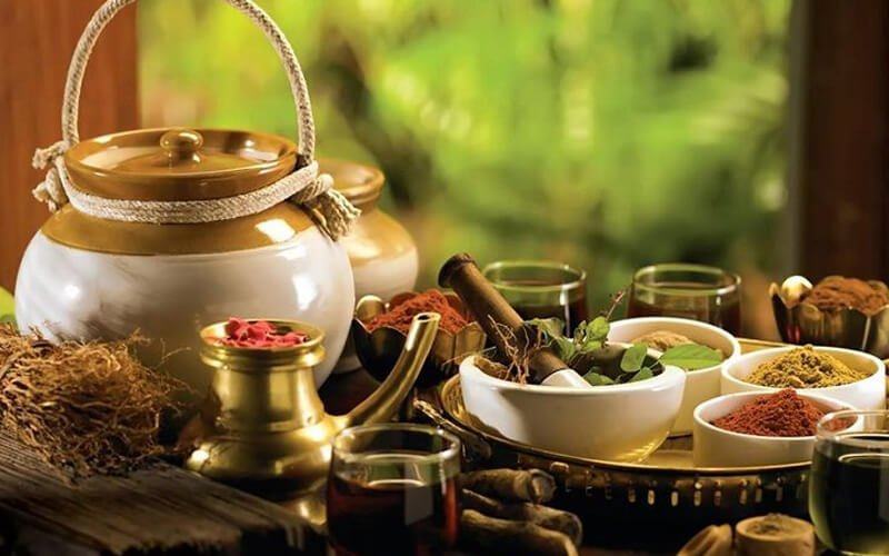 Thuốc đông y giúp tăng kích thước vòng 1