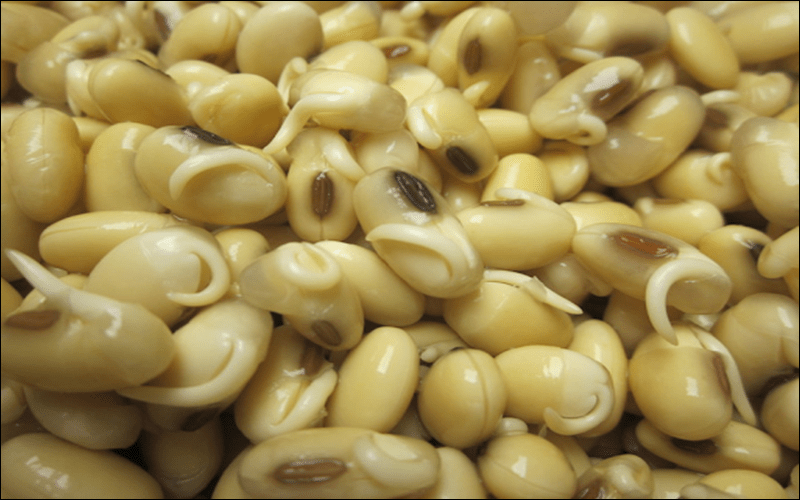 Dùng viên mầm đậu nành có tăng vòng 1 không?