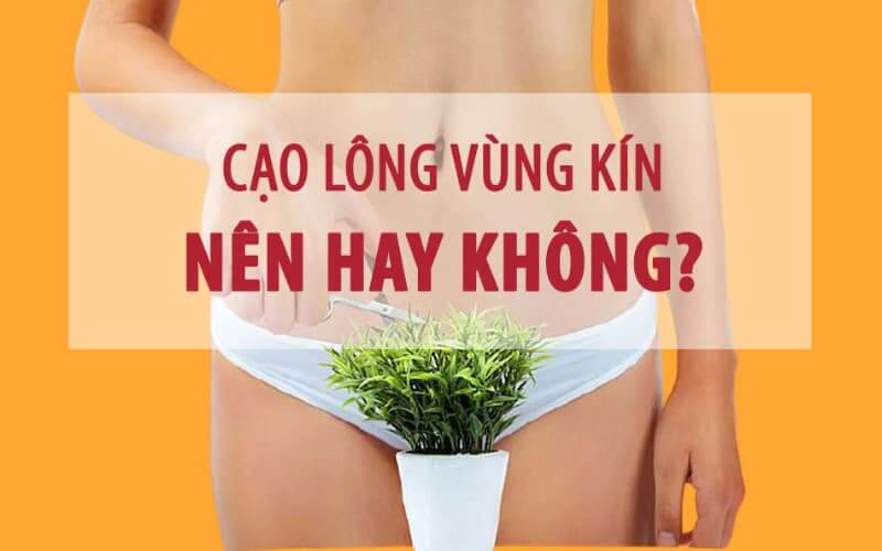 có nên cạo lông vùng kín không
